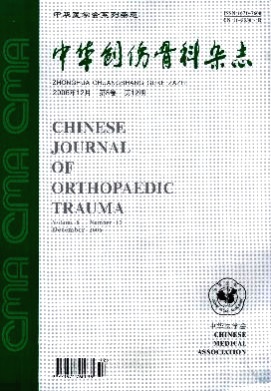 中华创伤骨科杂志杂志